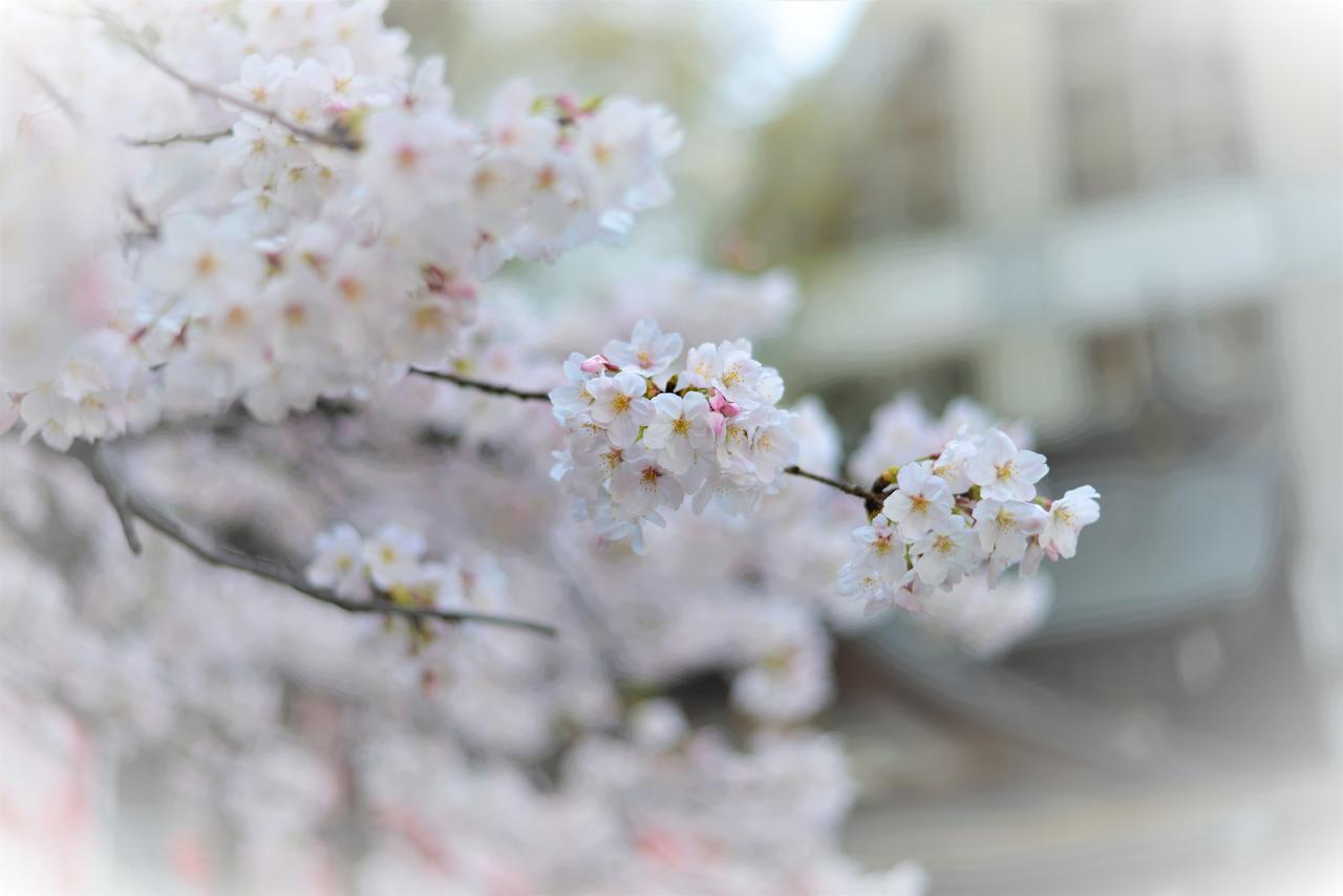 Hotel Plaza Umeshin Kitashinchi Ōsaka Eksteriør bilde